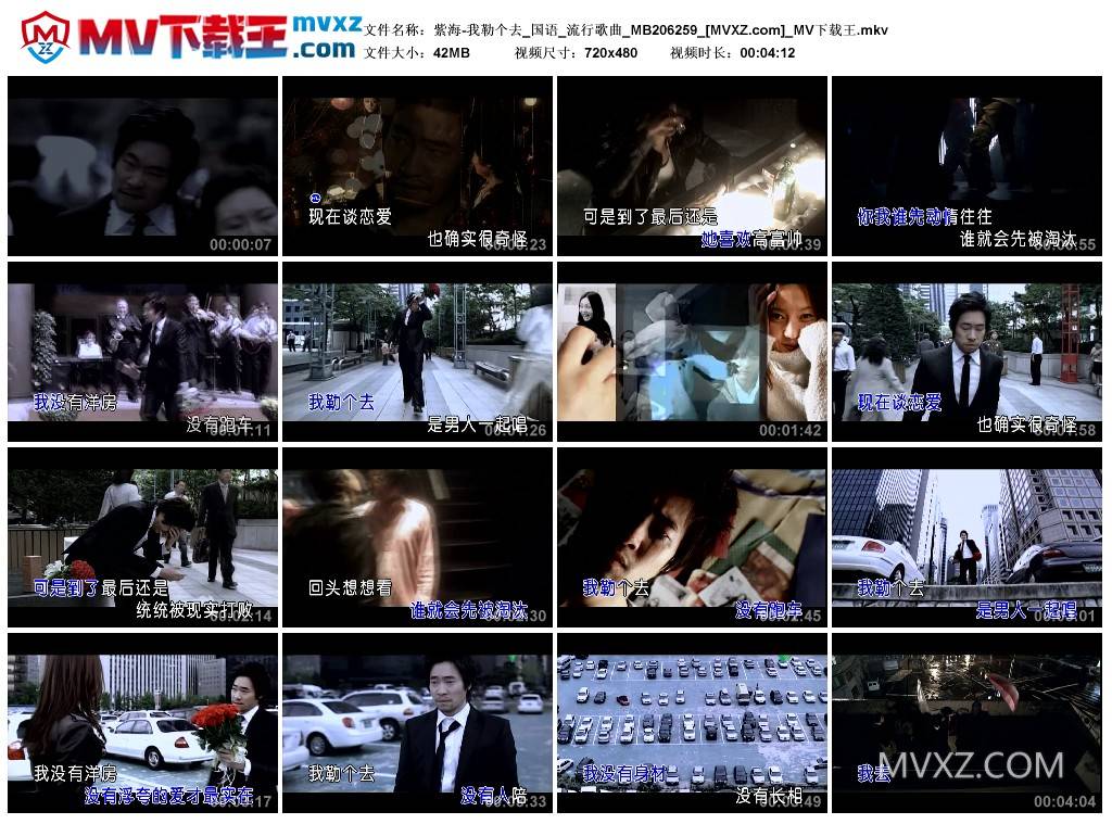 紫海-我勒个去_国语_流行歌曲_MB206259